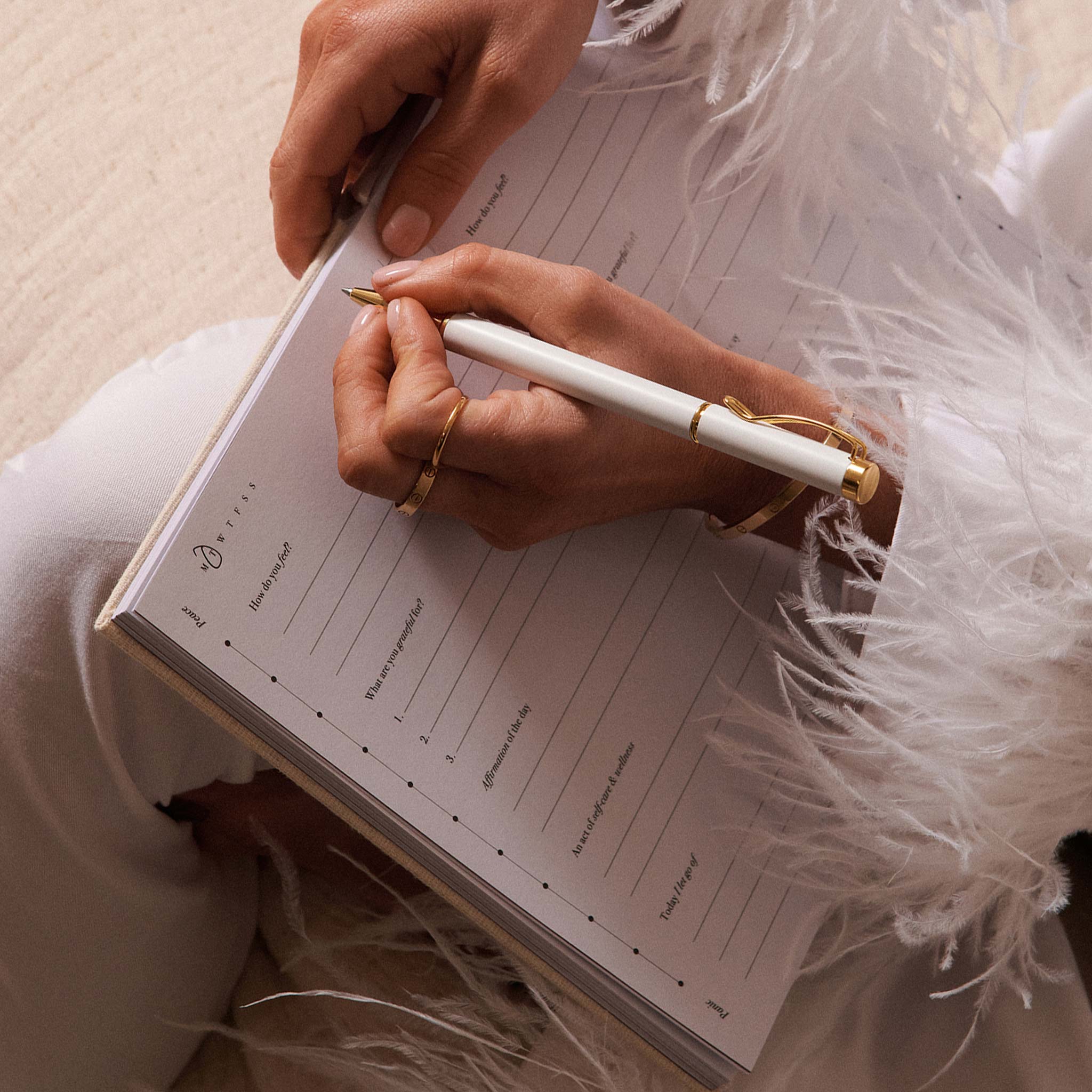 the head plan louise thomspon grateful gratitude journal lifestyle writing