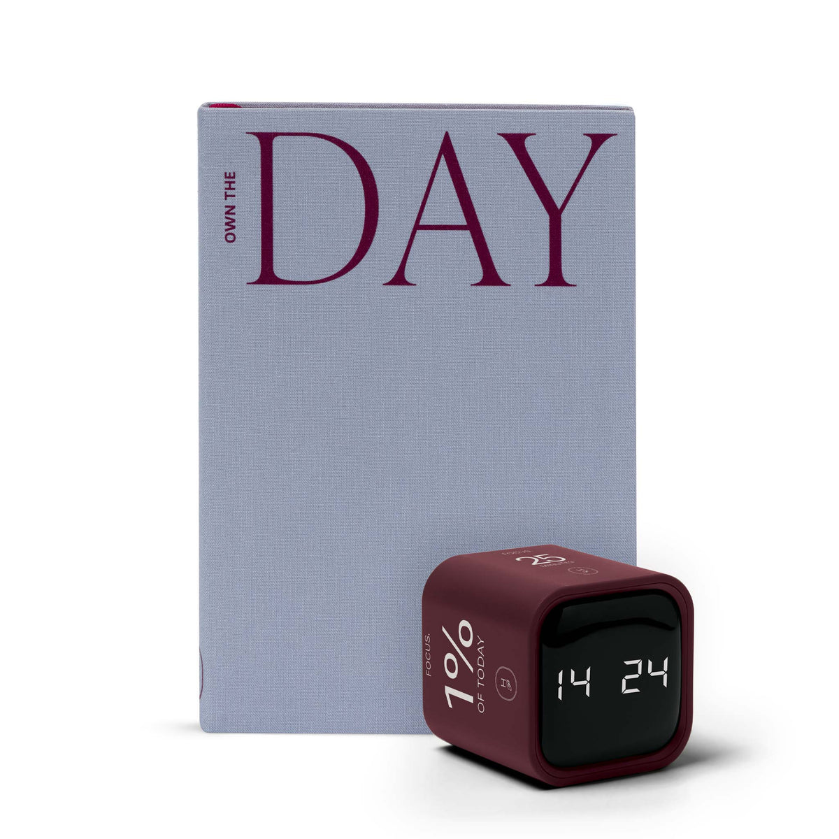 Own The Day System