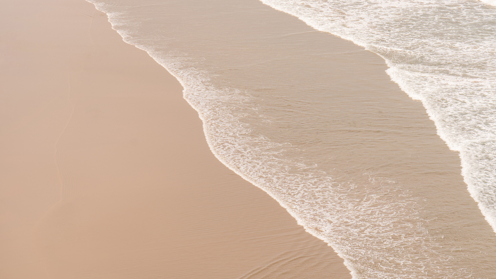 Embracing Uncertainty: Building Resilience in Today's World