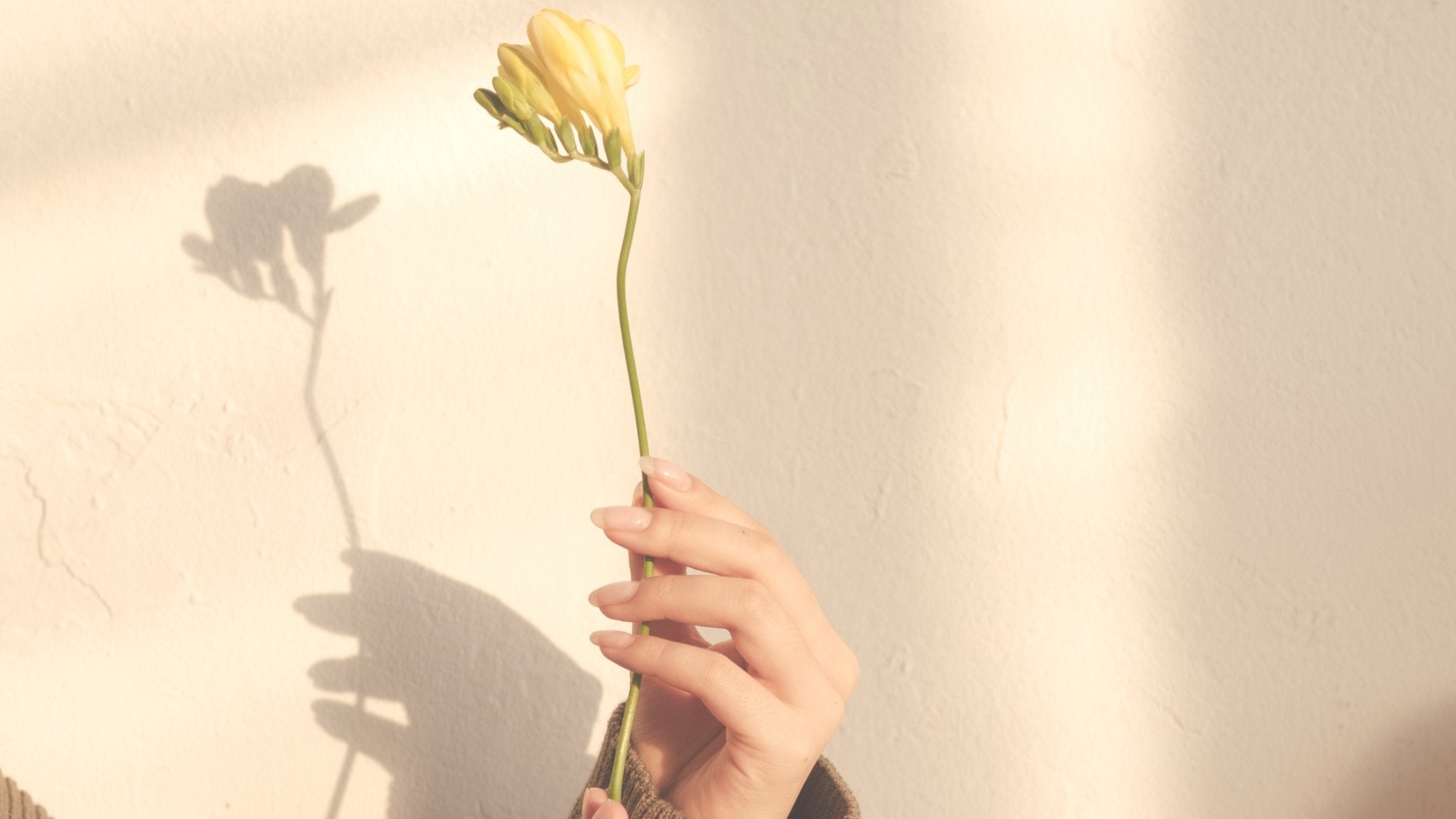 Self-Love 101: Master These 5 Building Blocks to Change Your Life Forever