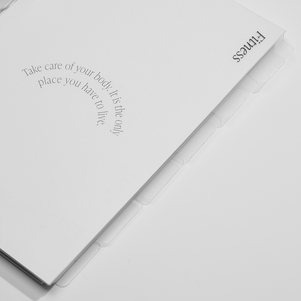 Agenda - Plain Frosted Dividers