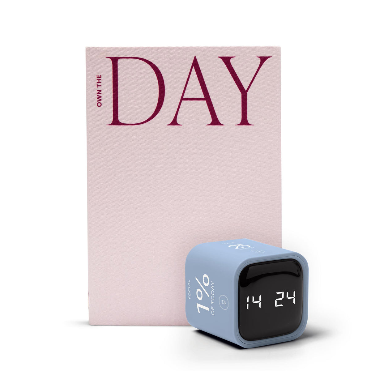 Own The Day System