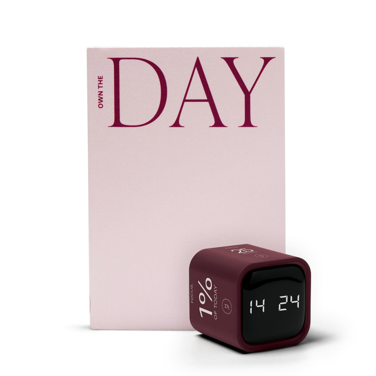 Own The Day System
